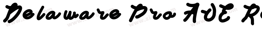 Delaware Pro AOE Reg字体转换